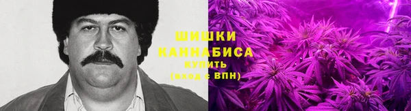 2c-b Бородино