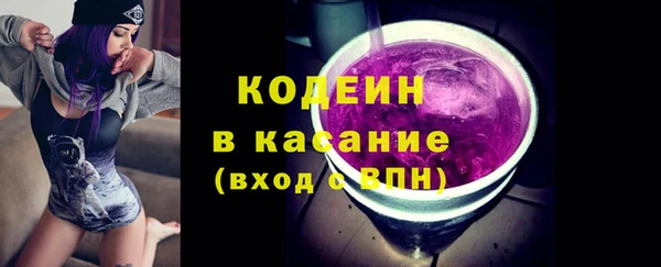 2c-b Бородино