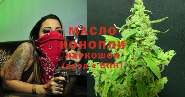 2c-b Бородино
