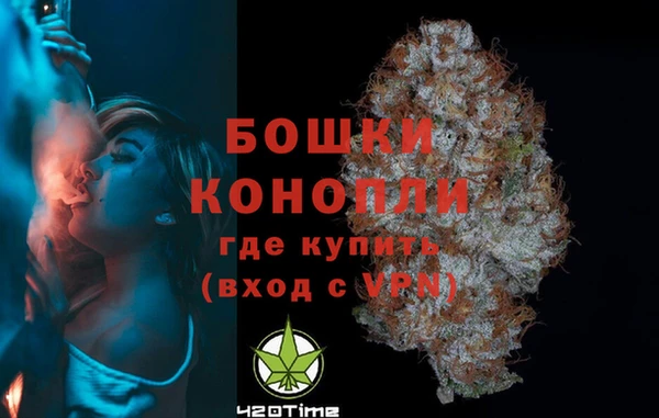 2c-b Бородино