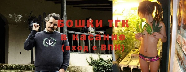тгк Богданович