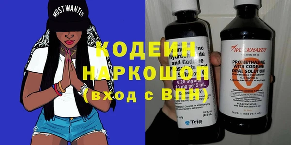 2c-b Бородино