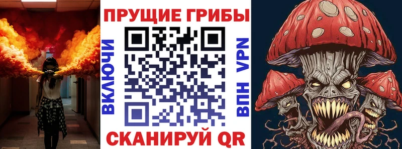 Галлюциногенные грибы GOLDEN TEACHER  Купить где  Наро-Фоминск 